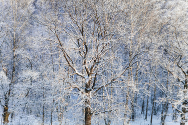 Similar image 10224427