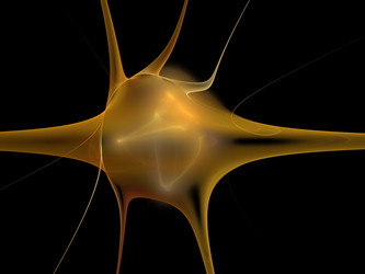 Similar image 10225002