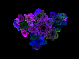 Similar image 10225672