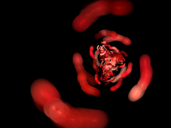 Similar image 10225988