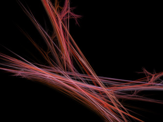 Similar image 10226858