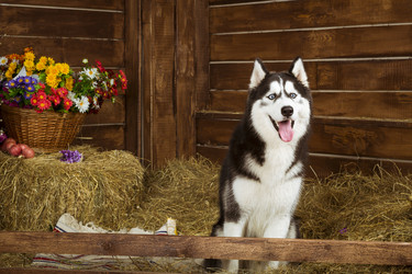 Similar image 10229328