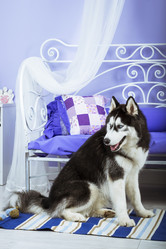 Similar image 10229338