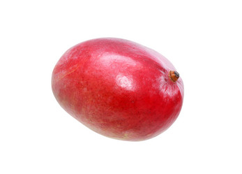 Similar image 10229354