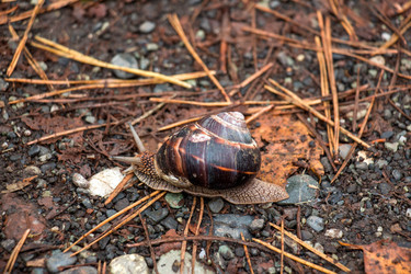 Similar image 10282098