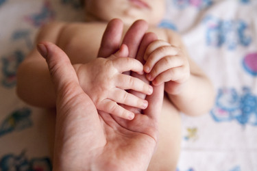 Similar image 10282106