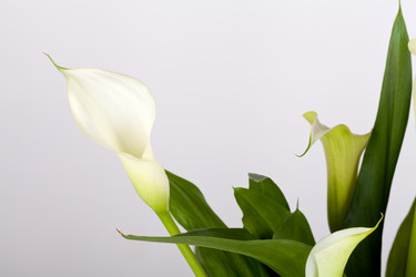 Similar image 10282125