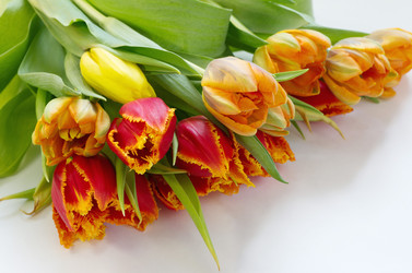 Similar image 10282469