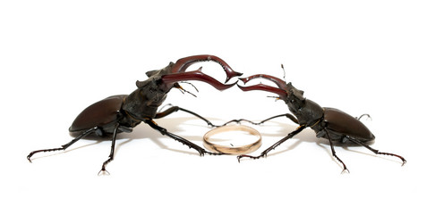 Similar image 10282910