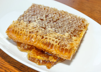 Similar image 10283740