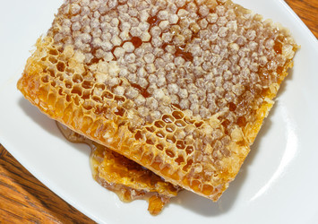 Similar image 10283743