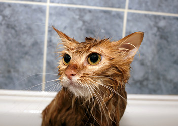 Similar image 10283771