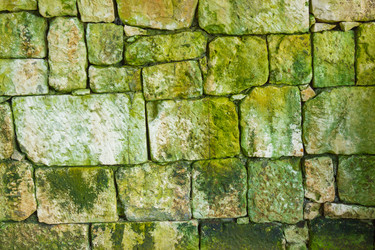 Similar image 10284202