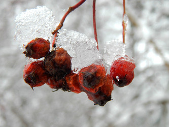 Similar image 10290956