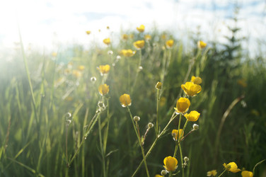 Similar image 10291876