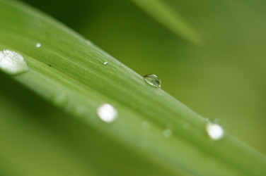 Similar image 10291878