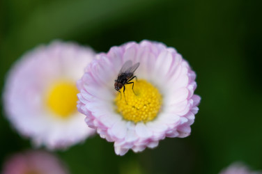 Similar image 10291880