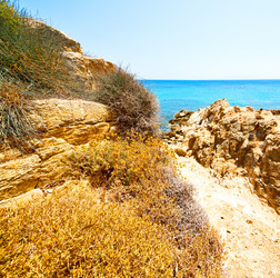 Similar image 10293491