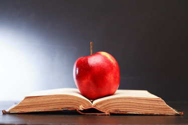 Similar image 10293504