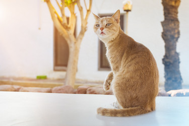 Similar image 10294668