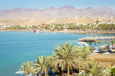 Similar image 10294679