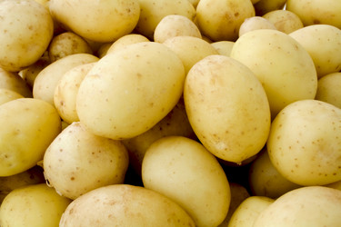 Similar image 10295508