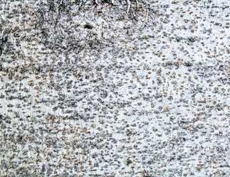 Similar image 10295681