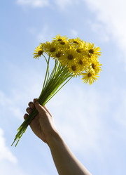 Similar image 10295701