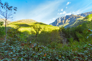 Similar image 10296515