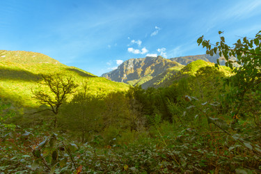 Similar image 10296516