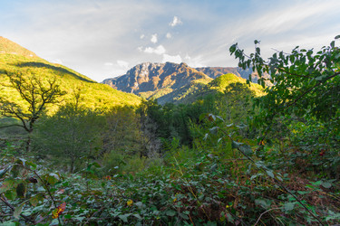 Similar image 10304407