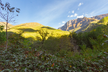 Similar image 10304419