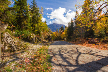 Similar image 10304424