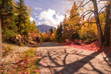 Similar image 10304441