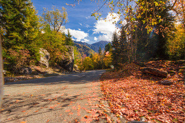 Similar image 10304444