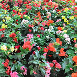 Similar image 10304562