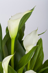 Similar image 10304580