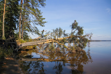 Similar image 10305853