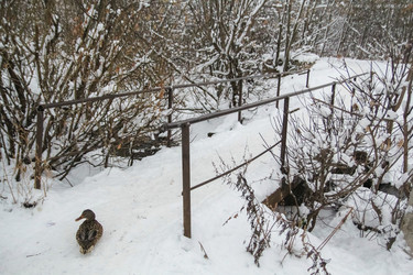 Similar image 10305866