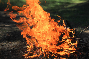 Similar image 10305871