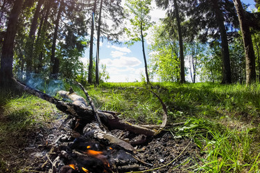 Similar image 10306014