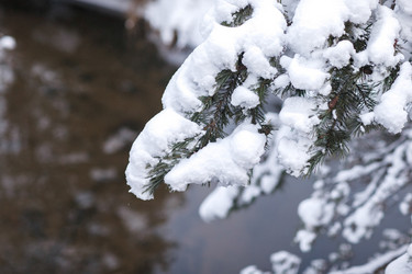 Similar image 10306314