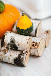 Similar image 10306662