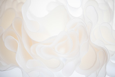 Similar image 10307130