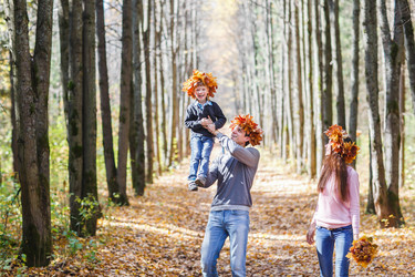 Similar image 10307233