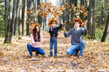 Similar image 10307243