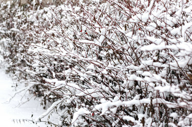 Similar image 10308701