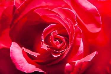 Similar image 10309285