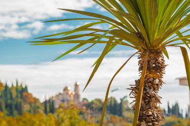 Similar image 10309572