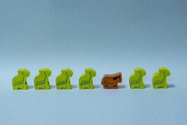 Similar image 10310073